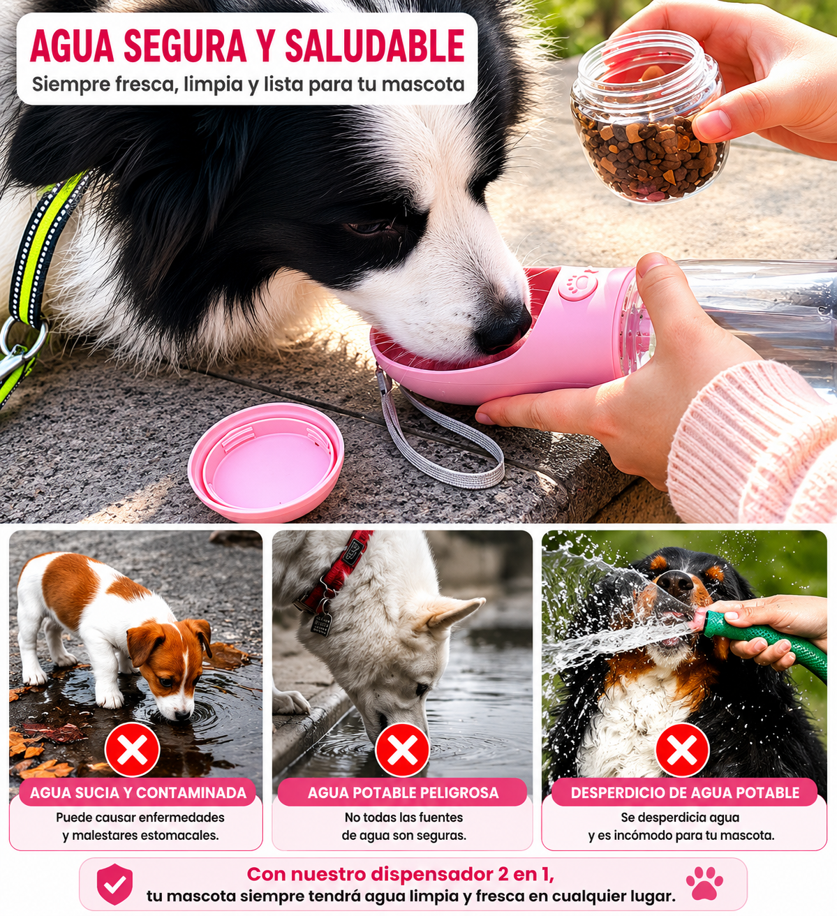 2-in-1 Pet Bottle